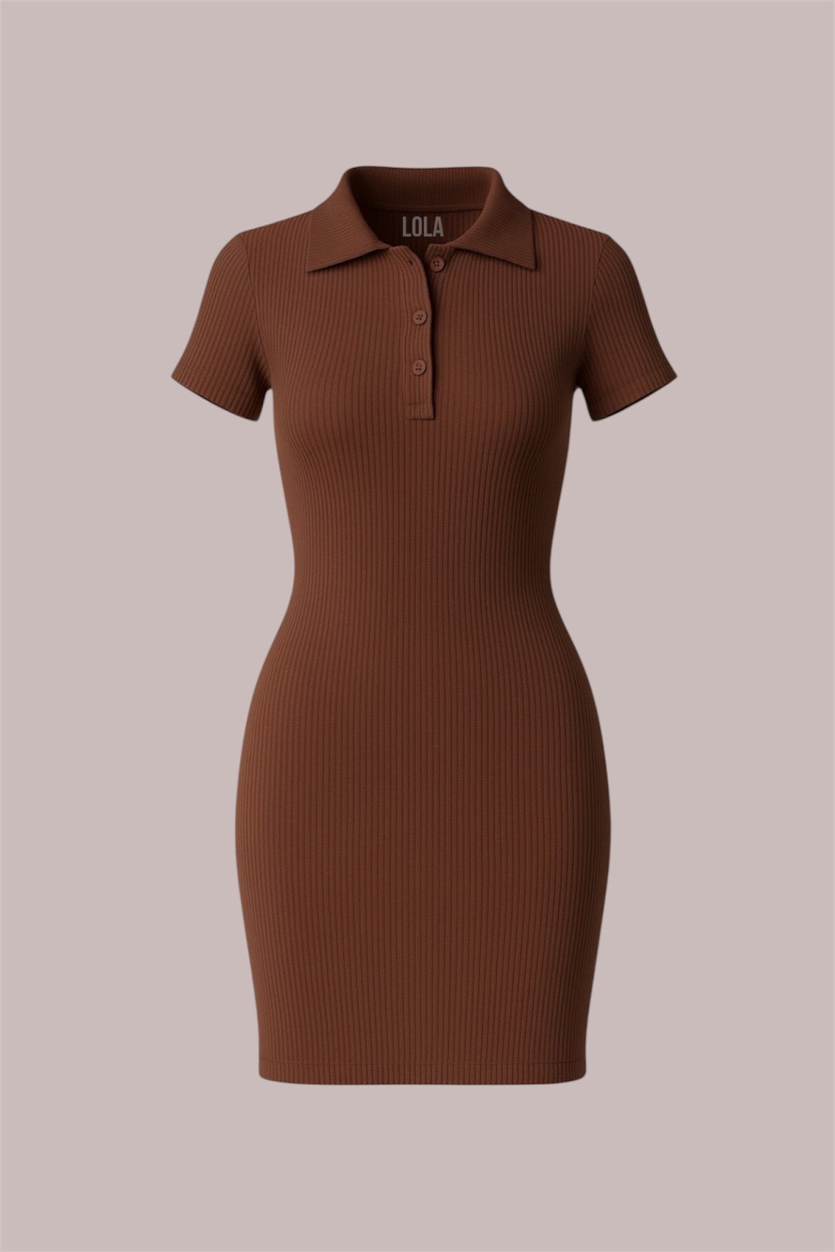 Brown Polo Yaka Elbise